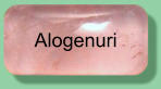 Alogenuri