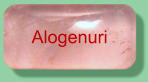 Alogenuri