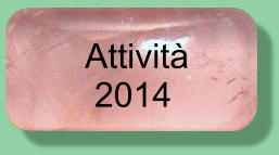 Attività  2014