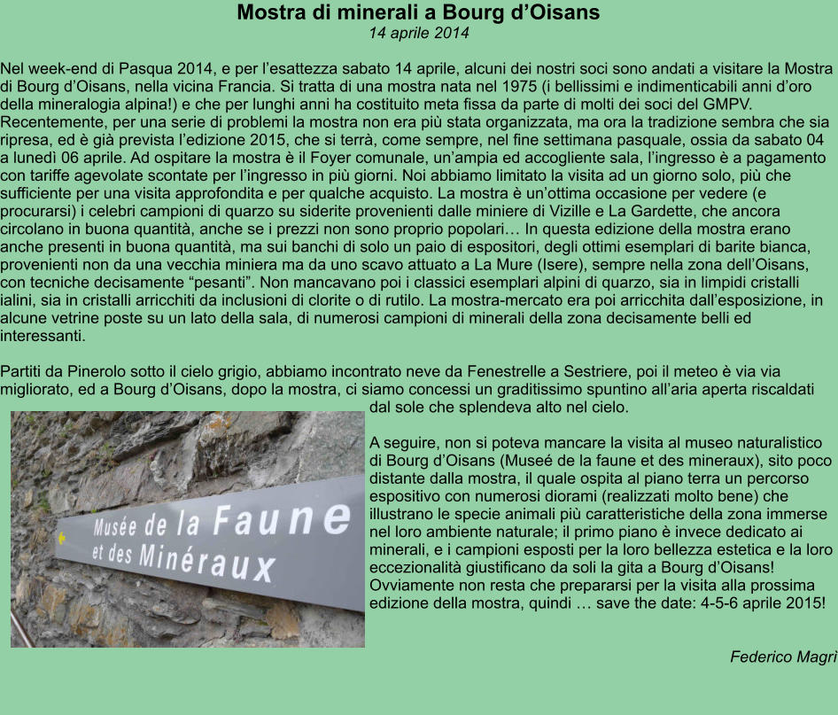 Mostra di minerali a Bourg d’Oisans 14 aprile 2014  Nel week-end di Pasqua 2014, e per l’esattezza sabato 14 aprile, alcuni dei nostri soci sono andati a visitare la Mostra di Bourg d’Oisans, nella vicina Francia. Si tratta di una mostra nata nel 1975 (i bellissimi e indimenticabili anni d’oro della mineralogia alpina!) e che per lunghi anni ha costituito meta fissa da parte di molti dei soci del GMPV. Recentemente, per una serie di problemi la mostra non era più stata organizzata, ma ora la tradizione sembra che sia ripresa, ed è già prevista l’edizione 2015, che si terrà, come sempre, nel fine settimana pasquale, ossia da sabato 04 a lunedì 06 aprile. Ad ospitare la mostra è il Foyer comunale, un’ampia ed accogliente sala, l’ingresso è a pagamento con tariffe agevolate scontate per l’ingresso in più giorni. Noi abbiamo limitato la visita ad un giorno solo, più che sufficiente per una visita approfondita e per qualche acquisto. La mostra è un’ottima occasione per vedere (e procurarsi) i celebri campioni di quarzo su siderite provenienti dalle miniere di Vizille e La Gardette, che ancora circolano in buona quantità, anche se i prezzi non sono proprio popolari… In questa edizione della mostra erano anche presenti in buona quantità, ma sui banchi di solo un paio di espositori, degli ottimi esemplari di barite bianca, provenienti non da una vecchia miniera ma da uno scavo attuato a La Mure (Isere), sempre nella zona dell’Oisans, con tecniche decisamente “pesanti”. Non mancavano poi i classici esemplari alpini di quarzo, sia in limpidi cristalli ialini, sia in cristalli arricchiti da inclusioni di clorite o di rutilo. La mostra-mercato era poi arricchita dall’esposizione, in alcune vetrine poste su un lato della sala, di numerosi campioni di minerali della zona decisamente belli ed interessanti.  Partiti da Pinerolo sotto il cielo grigio, abbiamo incontrato neve da Fenestrelle a Sestriere, poi il meteo è via via migliorato, ed a Bourg d’Oisans, dopo la mostra, ci siamo concessi un graditissimo spuntino all’aria aperta riscaldati dal sole che splendeva alto nel cielo.  A seguire, non si poteva mancare la visita al museo naturalistico di Bourg d’Oisans (Museé de la faune et des mineraux), sito poco distante dalla mostra, il quale ospita al piano terra un percorso espositivo con numerosi diorami (realizzati molto bene) che illustrano le specie animali più caratteristiche della zona immerse nel loro ambiente naturale; il primo piano è invece dedicato ai minerali, e i campioni esposti per la loro bellezza estetica e la loro eccezionalità giustificano da soli la gita a Bourg d’Oisans! Ovviamente non resta che prepararsi per la visita alla prossima edizione della mostra, quindi … save the date: 4-5-6 aprile 2015!   Federico Magrì