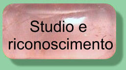 Studio e  riconoscimento