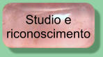 Studio e riconoscimento