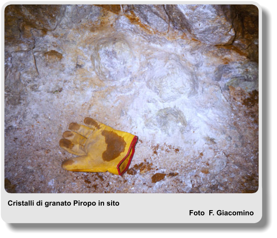 Cristalli di granato Piropo in sito Foto  F. Giacomino