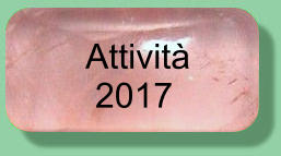 Attività  2017