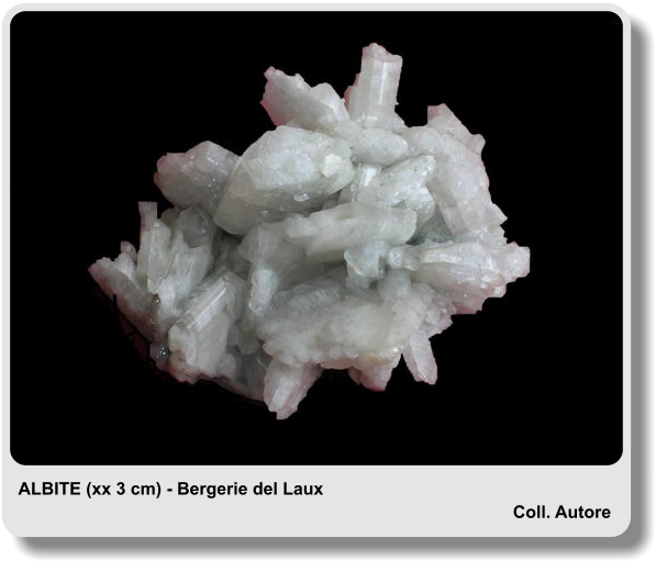 ALBITE (xx 3 cm) - Bergerie del Laux Coll. Autore