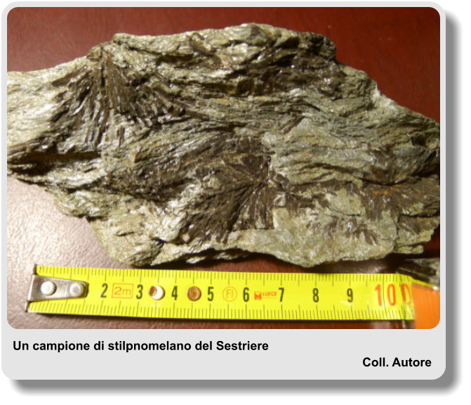 Un campione di stilpnomelano del Sestriere Coll. Autore